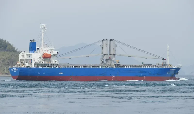 SUN MERMAID General Cargo IMO 9566239
