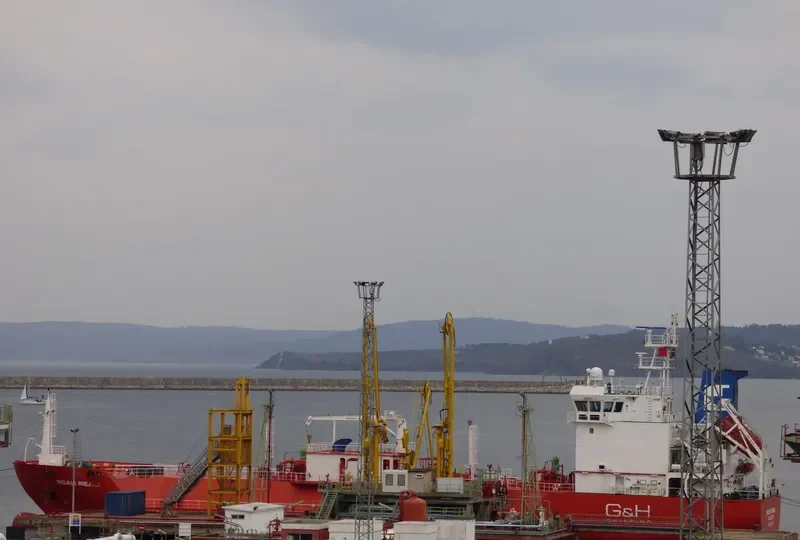 SCALI REALI General Cargo IMO 9566291 photo 4