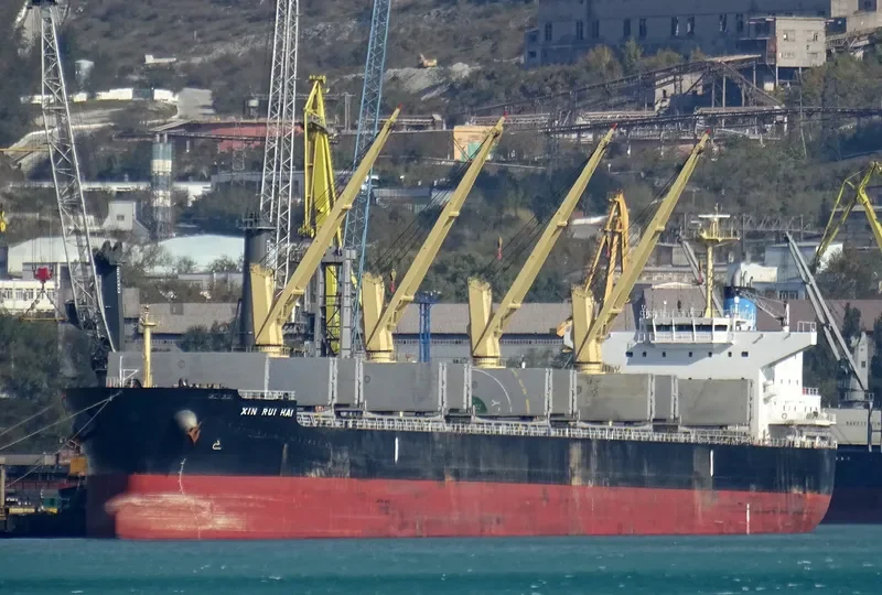 XIN RUI HAI Bulk Carrier IMO 9566423 photo 3