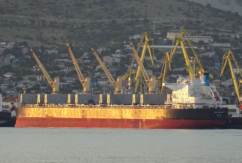 XIN RUI HAI Bulk Carrier IMO 9566423 photo 4