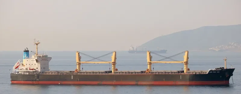 XIN RUI HAI Bulk Carrier IMO 9566423 photo 6