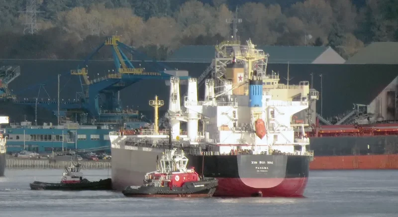 XIN RUI HAI Bulk Carrier IMO 9566423 photo 8