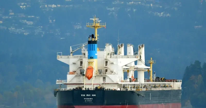 XIN RUI HAI Bulk Carrier IMO 9566423 photo 9
