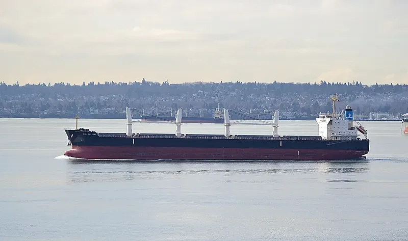 XIN RUI HAI Bulk Carrier IMO 9566423 photo 10