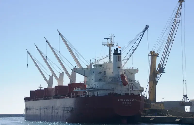 SIDRA Bulk Carrier IMO 9566435