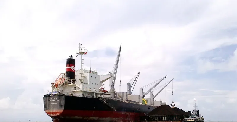 FUTURE Bulk Carrier IMO 9566447