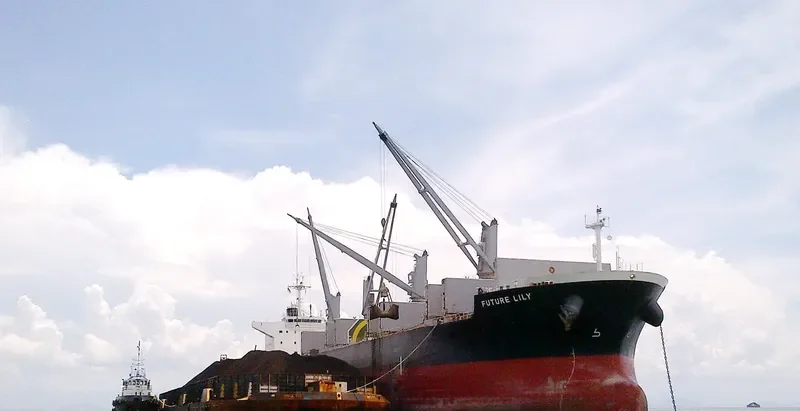FUTURE Bulk Carrier IMO 9566447 photo 2