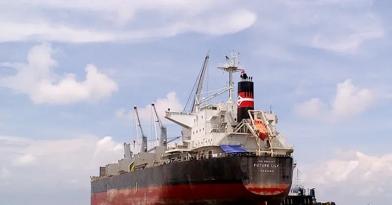 FUTURE Bulk Carrier IMO 9566447 photo 3