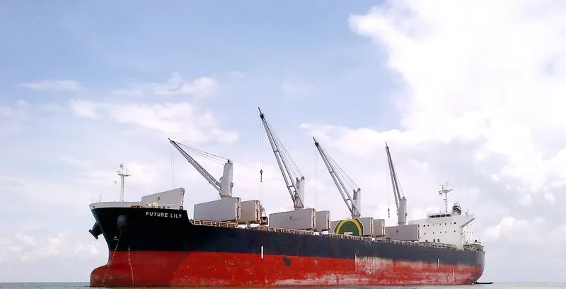 FUTURE Bulk Carrier IMO 9566447 photo 4