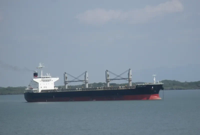 FUTURE Bulk Carrier IMO 9566447 photo 5