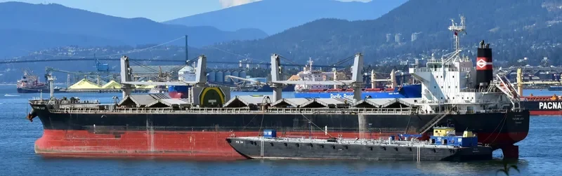 FUTURE Bulk Carrier IMO 9566447 photo 6