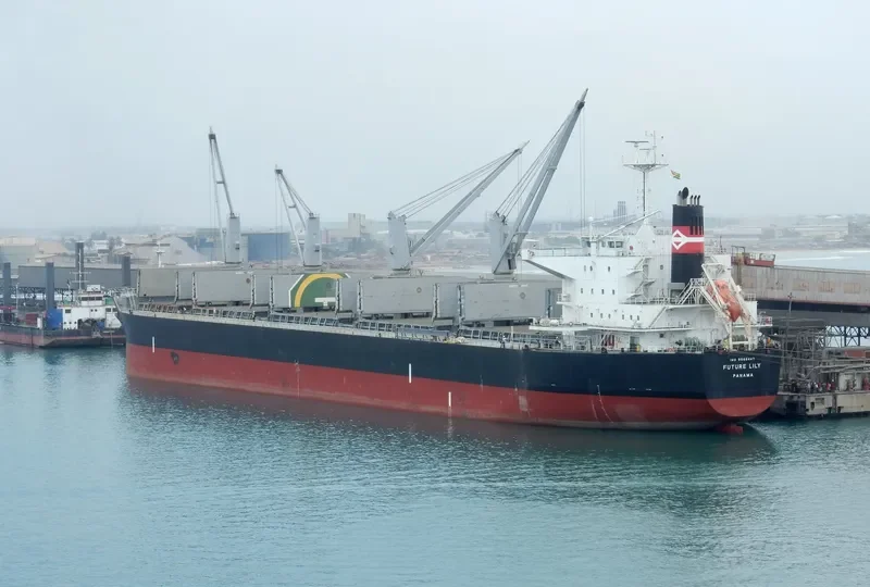 FUTURE Bulk Carrier IMO 9566447 photo 7