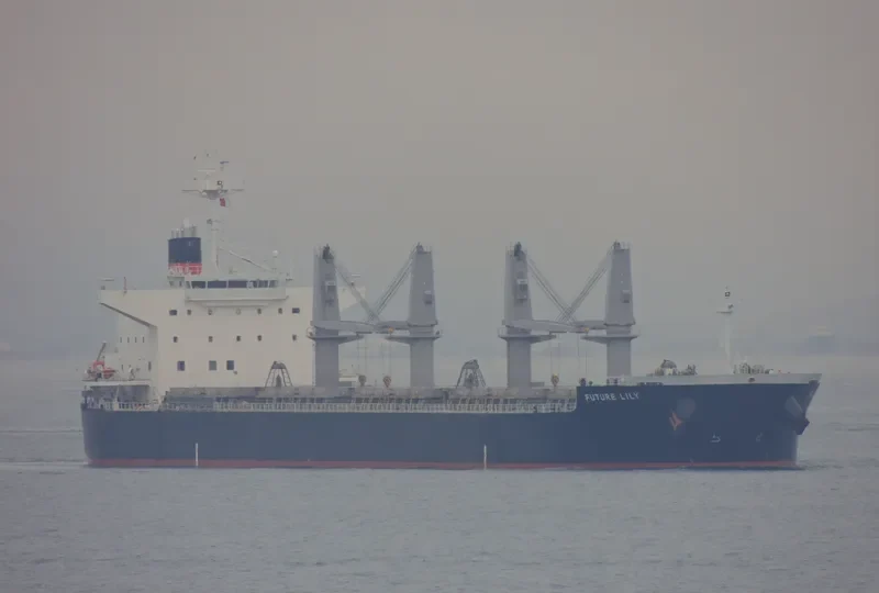 FUTURE Bulk Carrier IMO 9566447 photo 8