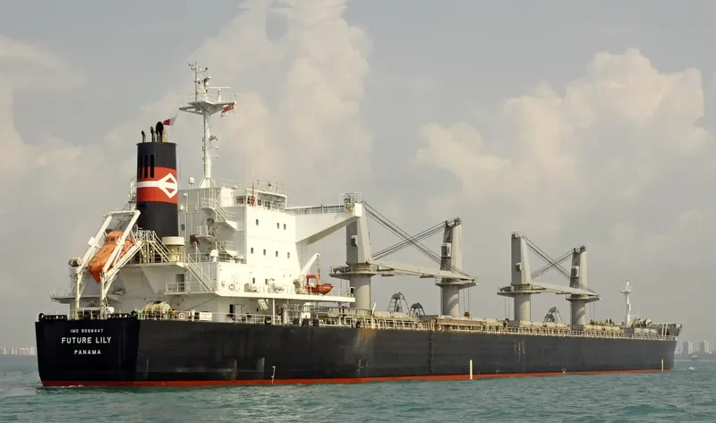 FUTURE Bulk Carrier IMO 9566447 photo 9