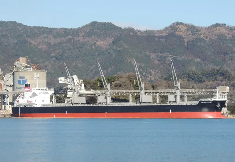FUTURE Bulk Carrier IMO 9566447 photo 10