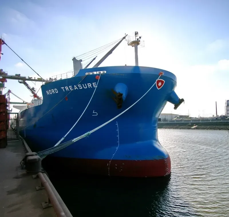 NORD TREASURE Bulk Carrier IMO 9566459 photo 3