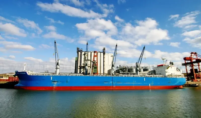 NORD TREASURE Bulk Carrier IMO 9566459 photo 5