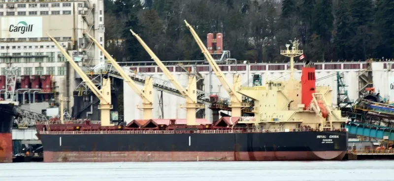 ROYAL CHIBA Bulk Carrier IMO 9566461