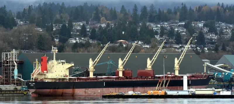 ROYAL CHIBA Bulk Carrier IMO 9566461 photo 3