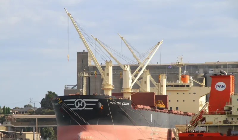 ROYAL CHIBA Bulk Carrier IMO 9566461 photo 5