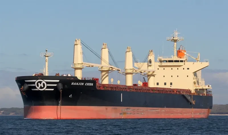 ROYAL CHIBA Bulk Carrier IMO 9566461 photo 9
