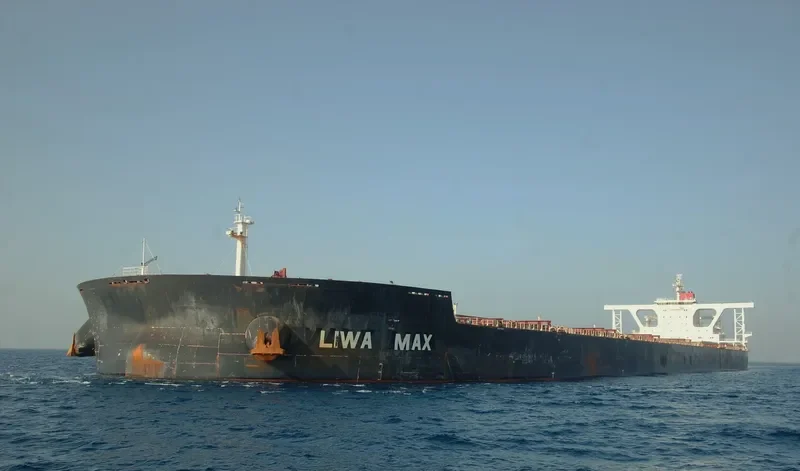 LIWA MAX Bulk Carrier IMO 9566514 photo 2