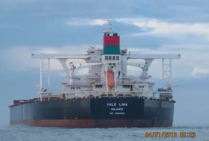 LIWA MAX Bulk Carrier IMO 9566514 photo 3