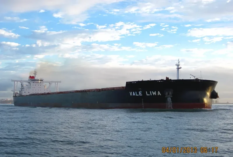 LIWA MAX Bulk Carrier IMO 9566514 photo 4