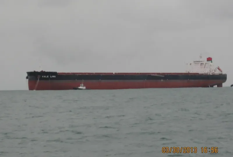 LIWA MAX Bulk Carrier IMO 9566514 photo 6