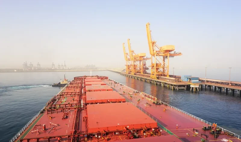 SHINAS MAX Bulk Carrier IMO 9566538
