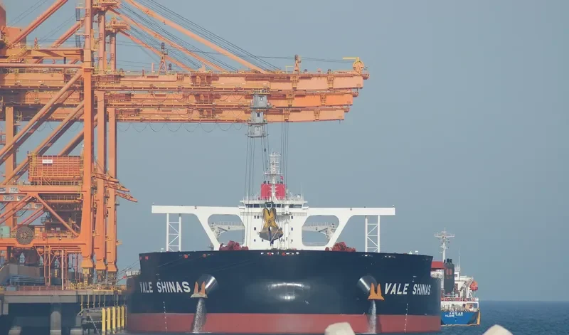 SHINAS MAX Bulk Carrier IMO 9566538 photo 3