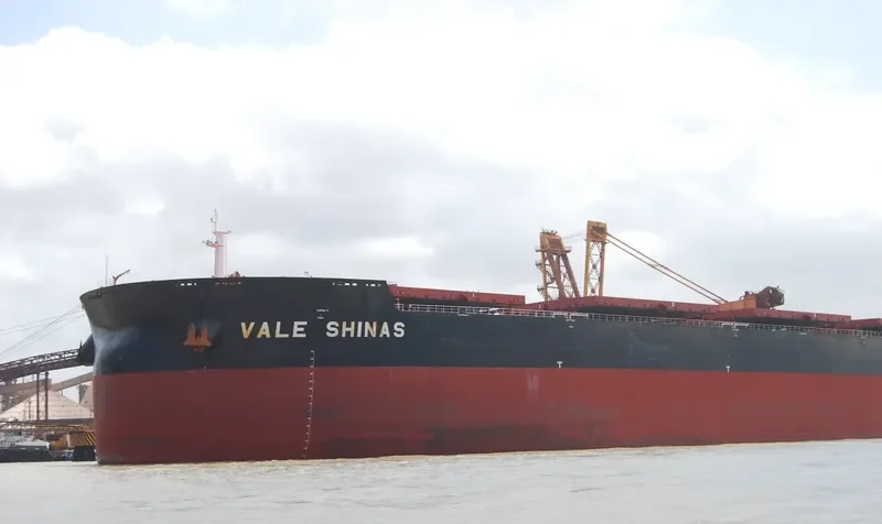 SHINAS MAX Bulk Carrier IMO 9566538 photo 5