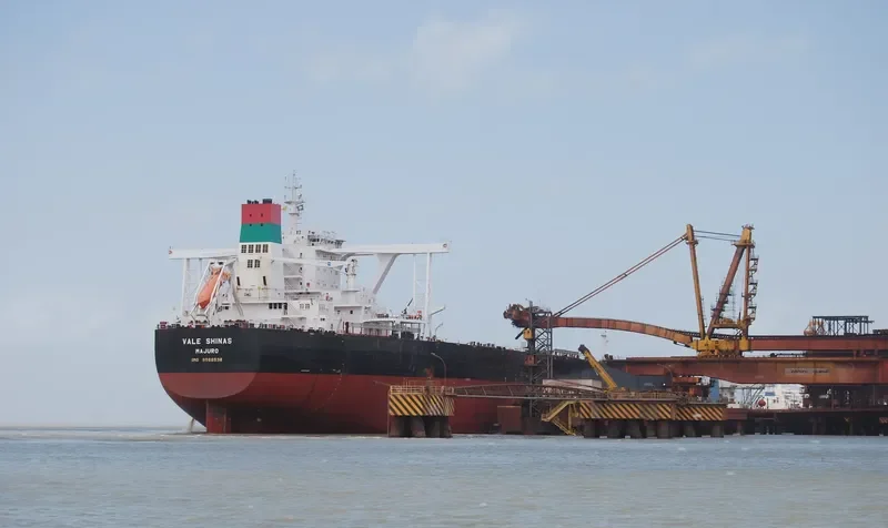 SHINAS MAX Bulk Carrier IMO 9566538 photo 6
