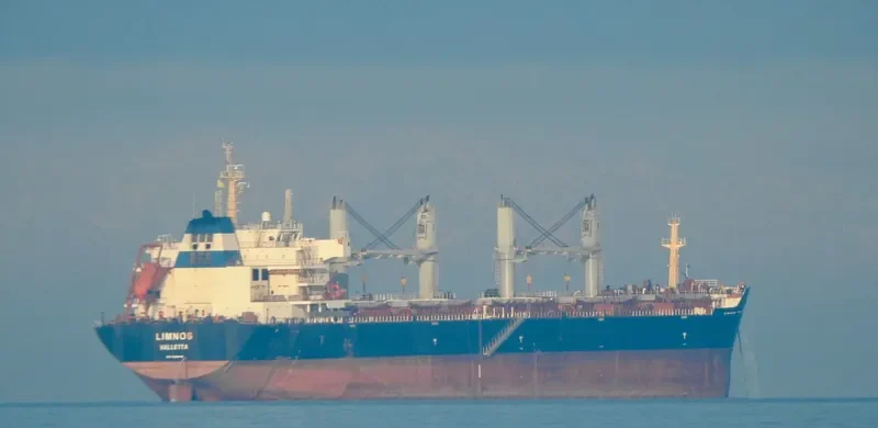 LIMNOS Bulk Carrier IMO 9566552 photo 5