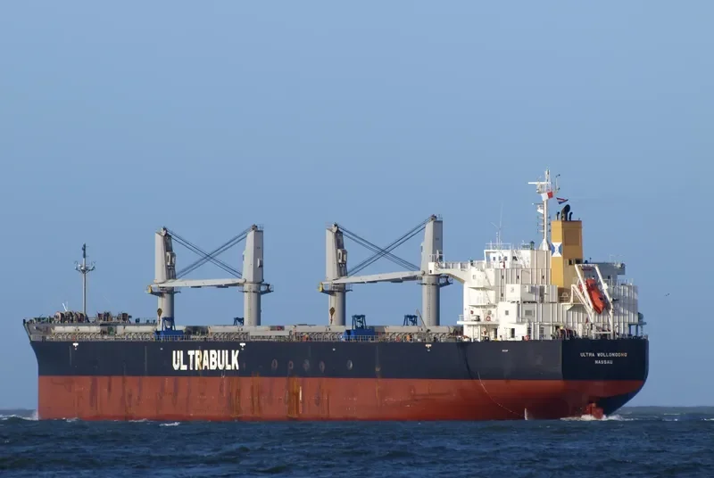 ULTRA WOLLONGONG Bulk Carrier IMO 9566576 photo 2