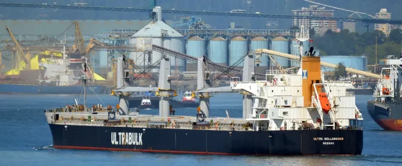 ULTRA WOLLONGONG Bulk Carrier IMO 9566576 photo 3