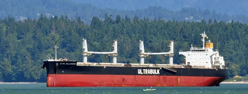 ULTRA WOLLONGONG Bulk Carrier IMO 9566576 photo 9