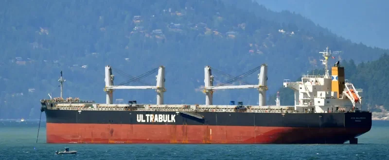 ULTRA WOLLONGONG Bulk Carrier IMO 9566576 photo 10