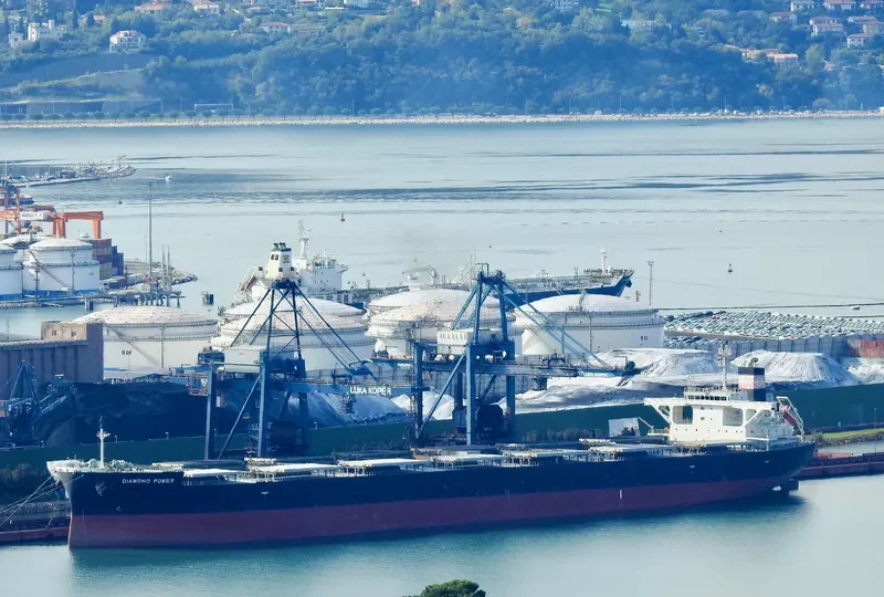 DIAMOND POWER Bulk Carrier IMO 9566590