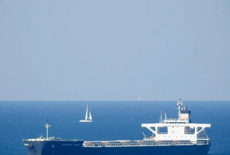 DIAMOND POWER Bulk Carrier IMO 9566590 photo 5
