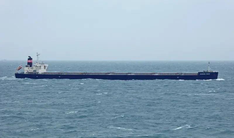 DIAMOND POWER Bulk Carrier IMO 9566590 photo 6