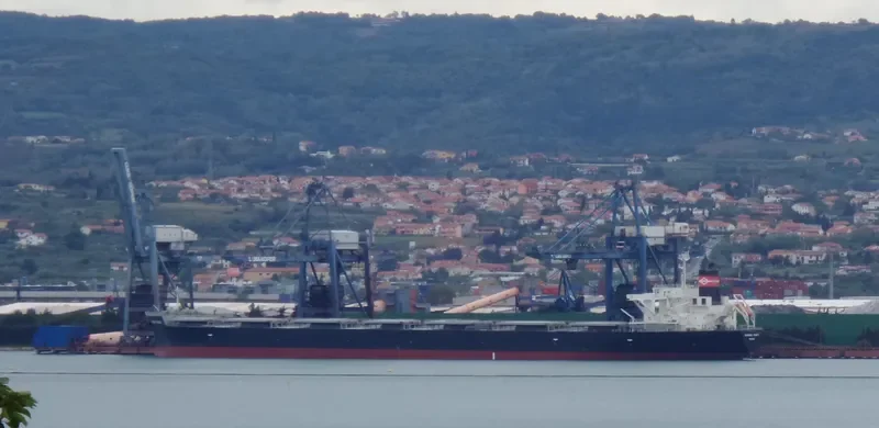 DIAMOND POWER Bulk Carrier IMO 9566590 photo 7