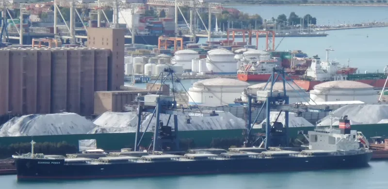 DIAMOND POWER Bulk Carrier IMO 9566590 photo 8