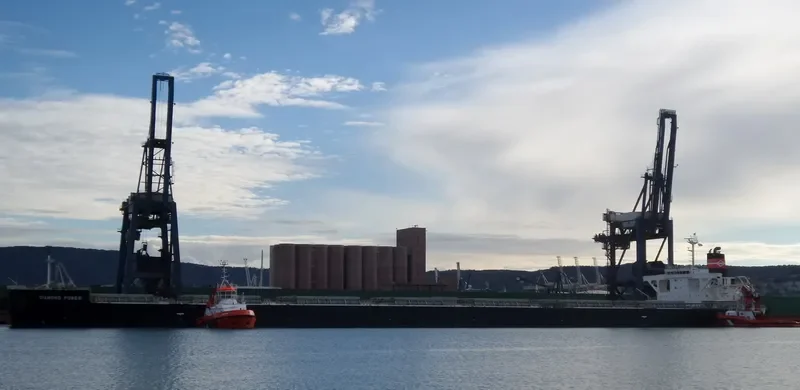 DIAMOND POWER Bulk Carrier IMO 9566590 photo 9