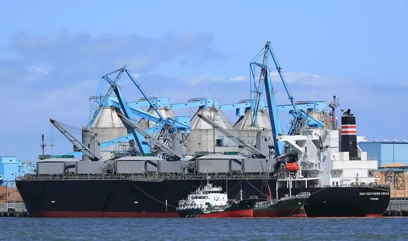 DAIO SOUTHERN CROSS Bulk Carrier IMO 9566629