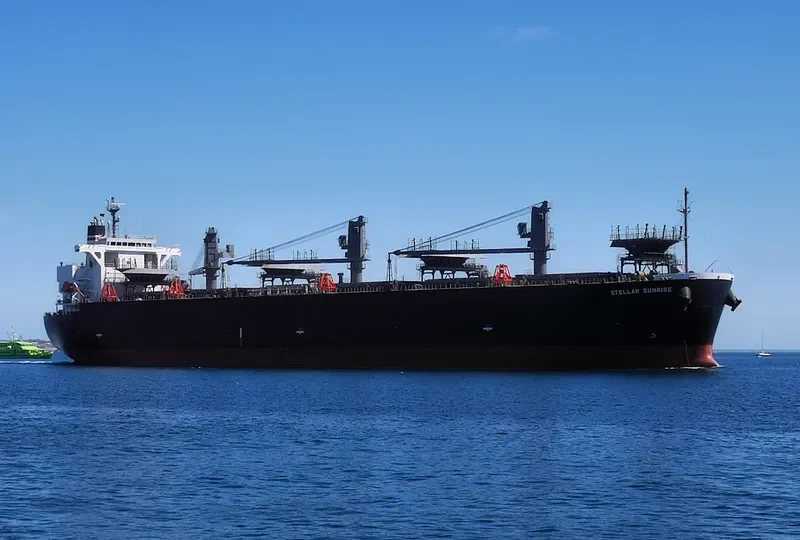 STELLAR SUNRISE Bulk Carrier IMO 9566631 photo 3