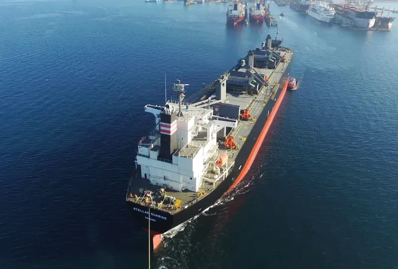 STELLAR SUNRISE Bulk Carrier IMO 9566631 photo 5
