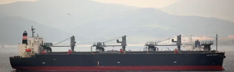 STELLAR SUNRISE Bulk Carrier IMO 9566631 photo 9