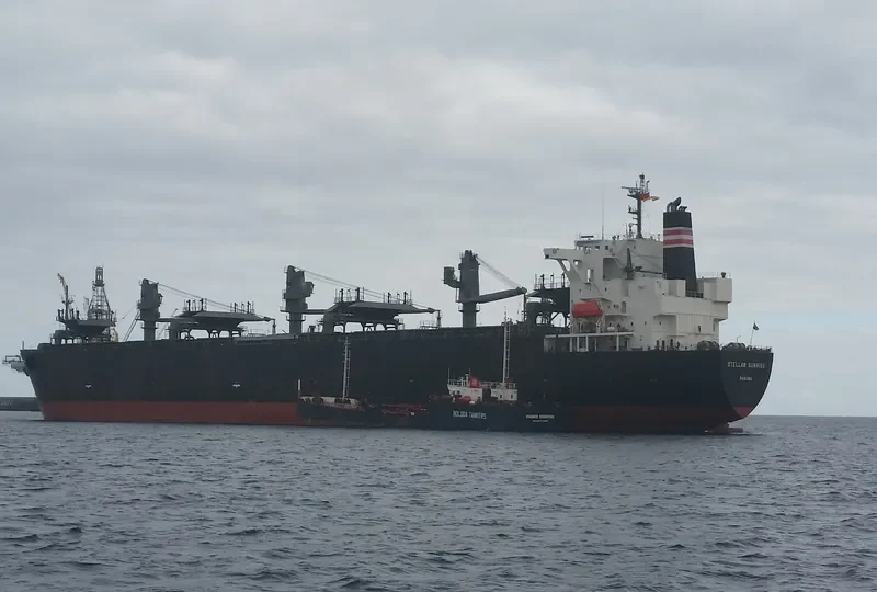 STELLAR SUNRISE Bulk Carrier IMO 9566631 photo 10