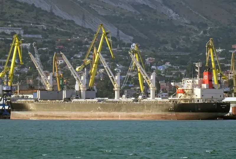 TTM SUCCESS Bulk Carrier IMO 9566655